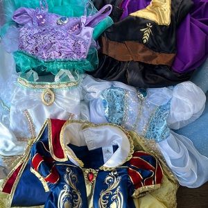 Disney Princess Dress (Size 4)